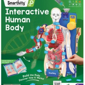 Smartivity Interactive Human Body Model for Kids 8-14 Years I Dynamic Body Parts & Organs + Learning Booklet | Birthday Gift for Boys & Girls | Educational Toy for 8,9,10,11,12,13,14 Years